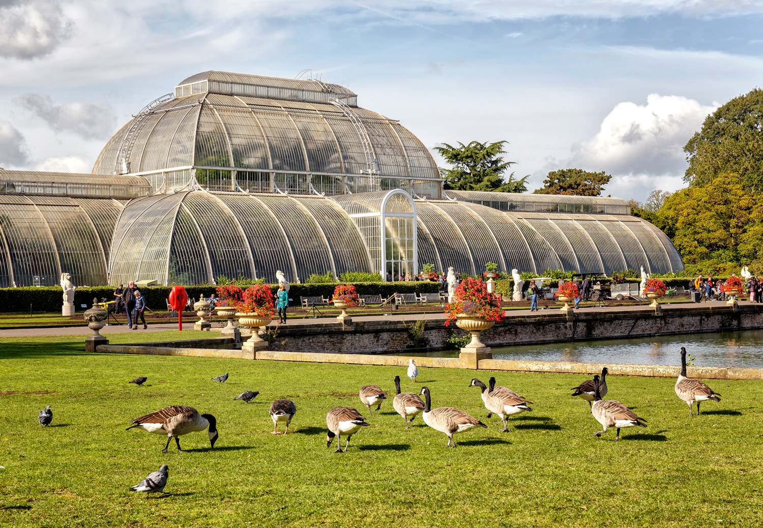 Kew - Working with the world's most highly-regarded botanical institution to sell advertising to premium lifestyle and horticultural-related advertisers 